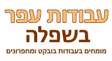 מומחים בעבודות בובקט בשרון