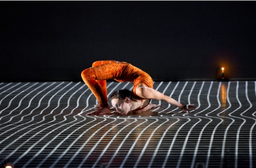 מופעים בשבועות 2017